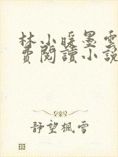 林小暖墨云廷免费阅读小说