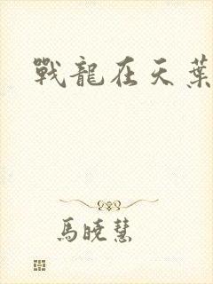 战龙在天叶凡