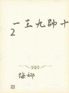 一王九帅十二宫2