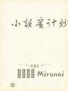 小说蜜汁炒鱿鱼