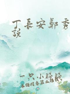 丁长安郑秀兰小说