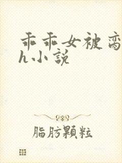 乖乖女被脔日常h小说