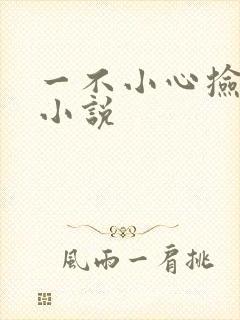 一不小心捡到爱小说