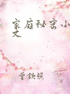家庭秘密小说全文