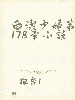白洁少妇第1一178章小说