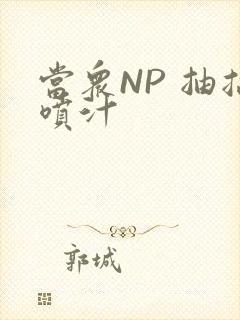 当众NP 抽搐喷汁