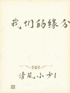 我们的缘分小说