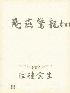 飞燕惊龙txt