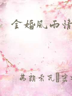 金婚风雨情下载