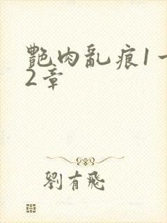 艳肉乱痕1一12章