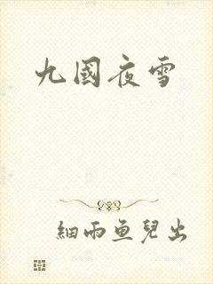 九国夜雪