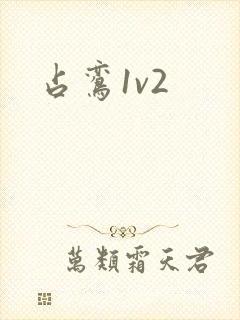 占鸾1v2