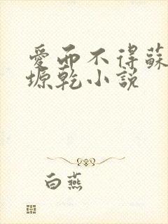 爱而不得苏路顾塬乾小说