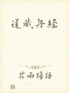 道藏丹经