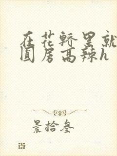 在花轿里就开始圆房高辣h