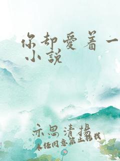 你却爱着一个他 小说