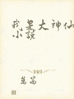 我是大神仙时江小说