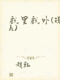 戏里戏外(现场h)