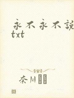 永不永不说再见txt