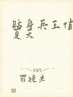 贴身兵王俏总裁夏天