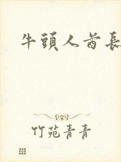 牛头人酋长战斧