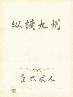 纵横九州