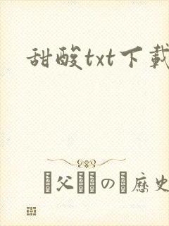 甜酸txt下载