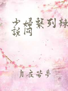 少妇系列辣文小说网