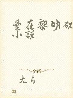 爱在黎明破晓前小说