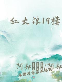 红太狼19楼
