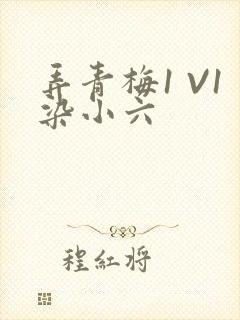 弄青梅1 V1染小六