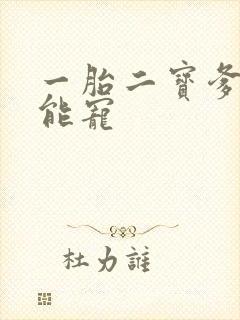 一胎二宝爹地超能宠