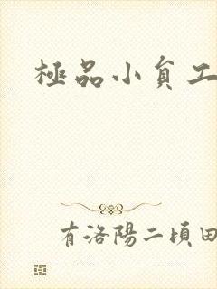 极品小员工