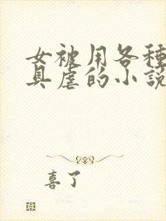 女被用各种性器具虐的小说