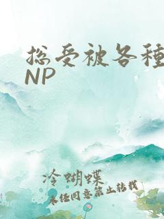 总受被各种姿势NP