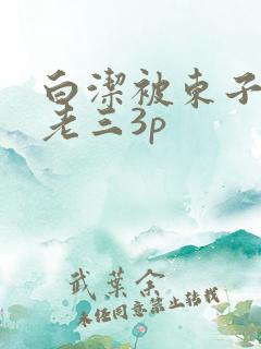 白洁被东子老二老三3p