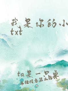 我是你的小小狗txt