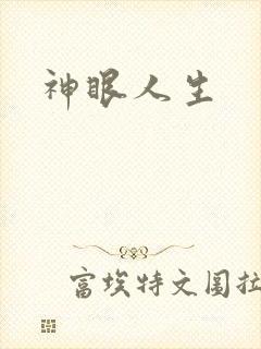 神眼人生