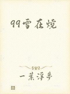 99雪在烧