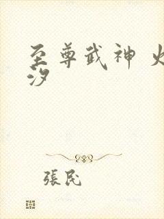 至尊武神 火龙汐