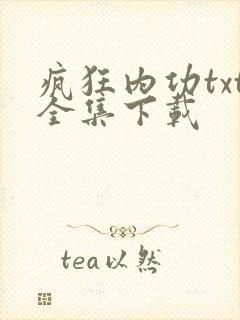 疯狂内功txt全集下载