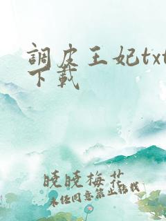 调皮王妃txt下载