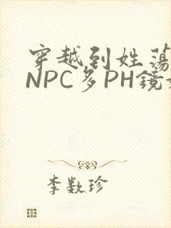 穿越到姓荡游戏NPC多PH镜姬