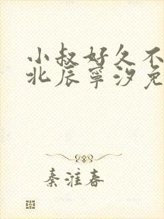 小叔好久不见顾北辰宁汐免费阅读