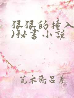 狠狠的撞入(h)秘书小说