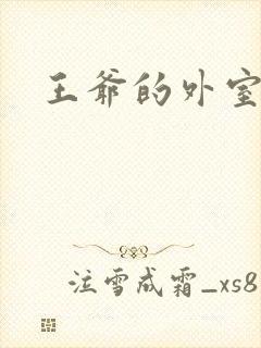 王爷的外室