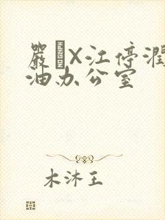 严峫X江停润滑油办公室