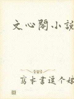 文心阁小说