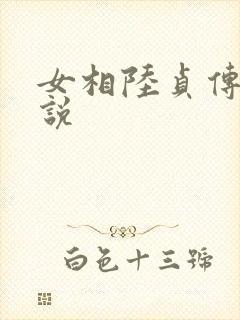 女相陆贞传奇小说