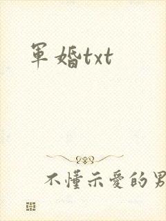 军婚txt